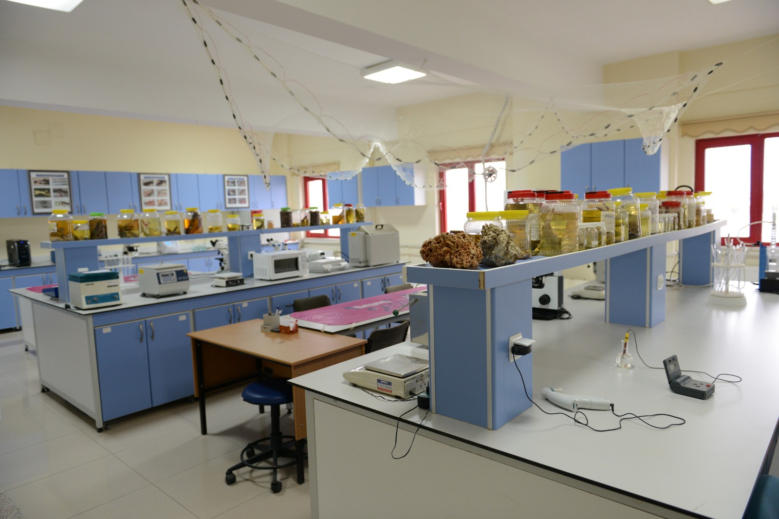 KSÜ, Bölgenin En Modern Balık Hastalıkları Laboratuvarı ile Kahramanmaraş ve Çevre İllere Teşhis ve Tedavi Hizmeti Veriyor